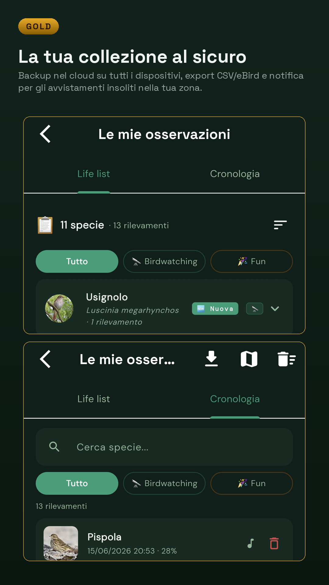 Life list, cronologia e statistiche